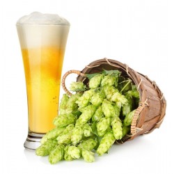 Beer Hops Seeds (Humulus lupulus) 1.85 - 1