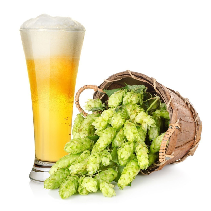 Beer Hops Seeds (Humulus lupulus) 1.85 - 1