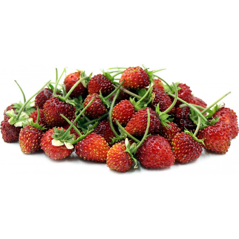 Sweet Details about   Red Heirloom Strawberry ''Alpine Four Seasons'' ~30 Top Quality Seeds