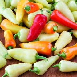 Hot Chilli Pepper Seeds SANTA FE GRANDE - GUERO 1.55 - 4