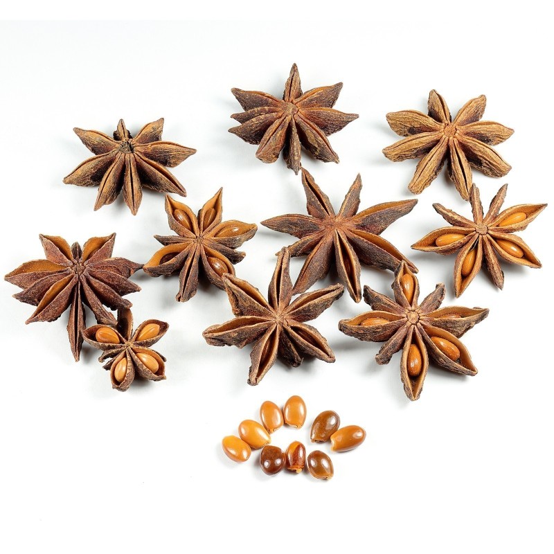 Sementes de Anis Estrelado, Anis Da China Preço €3.50 Sementes de Anis Estrelado, Anis Da China Preço €3.50