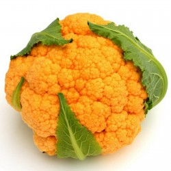 Narandzasti Karfiol Seme - Zdravo Povrce 2.75 - 1