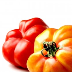 Sementes De Tomate Montserrat 1.95 - 1