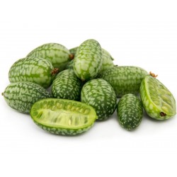 Cucamelon seeds - Mexican Sour Gherkin Cucumber 1.85 - 1