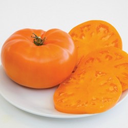 Semi di pomodoro arancia Beefsteak 2.15 - 3