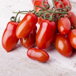 Semillas de Tomate Napoli 1.85 - 1