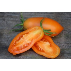 Orange Banana Paradajz Seme 1.85 - 3