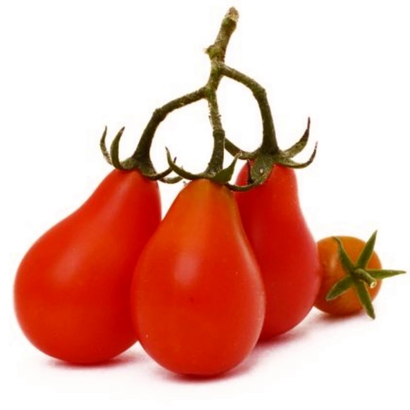 Red Tomato Seeds - €1.55