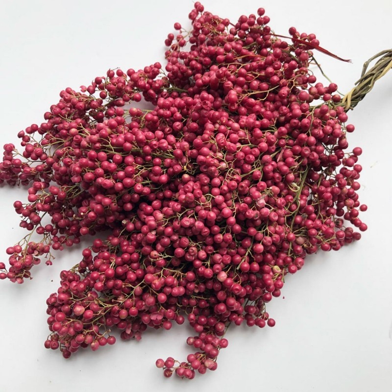 esquema Desilusión Crítico Peruvian Pepper, Pepper Tree Seeds (Schinus molle) - Ár: €1.65