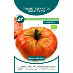 Tres Cantos tomato seeds 1.95 - 1