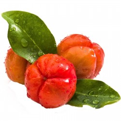 Barbadoskörsbär eller Acerola Frön (Malpighia glabra) 4.5 - 1