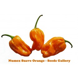 Sementes de Pimenta Numex Orange