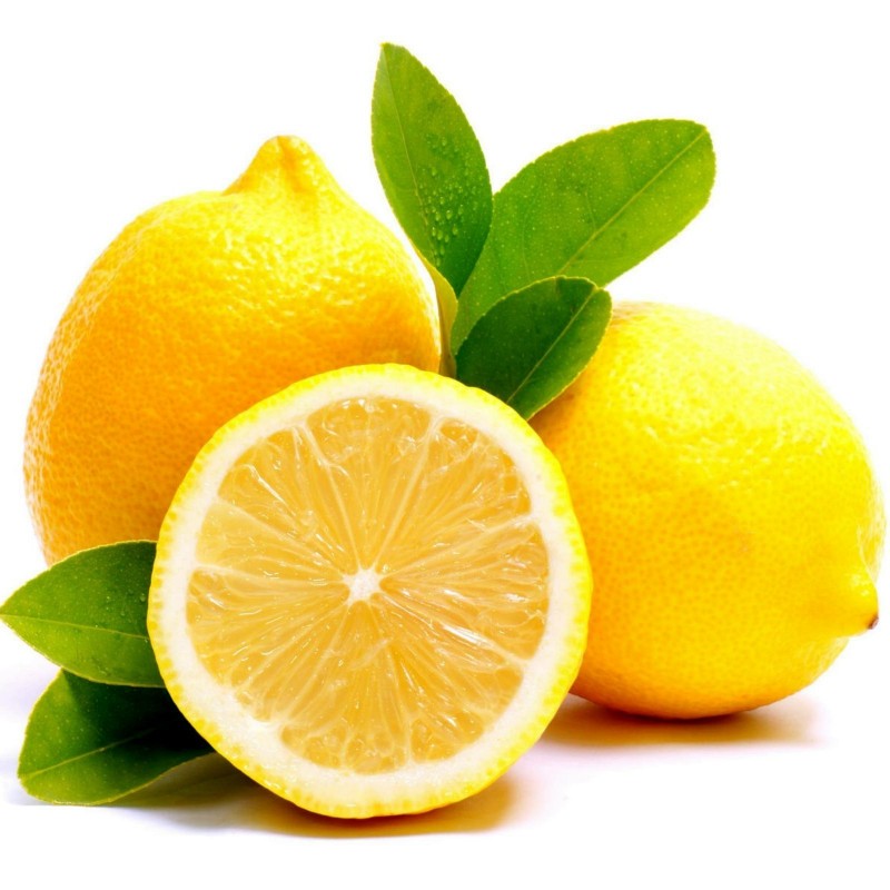Σπόροι Λεμόνι (Κιτρέα η λεμονέα, Citrus × limon) 1.95 - 1