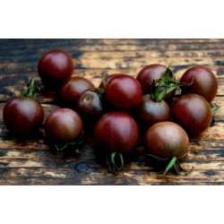 Black - Crni Cherry Paradajz Seme