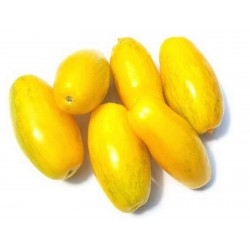 Σπόροι Ντομάτα Banana Legs 1.85 - 5