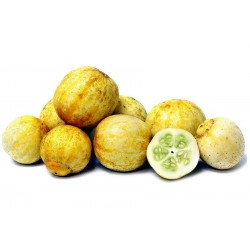 Semillas De Pepino De Limón 1.95 - 1