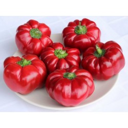 GREYGO ungerska paprika frön 1.55 - 2