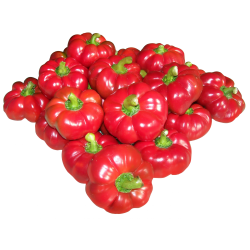 GREYGO ungerska paprika frön 1.55 - 3