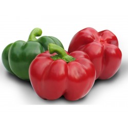 GREYGO Hungarian sweet pepper seeds 1.55 - 1