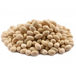 Kleine weiße Navy Bohnen Samen Perlbohnen 1.95 - 1