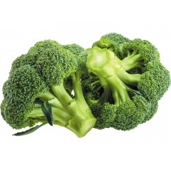 Brokoli Ramoso Calabrese Seme 1.95 - 1