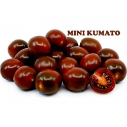 Σπόροι Μαύρη τομάτα κεράσι Kumato  - 2