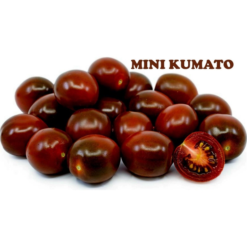 Semillas de tomate cherry negro Kumato  - 2