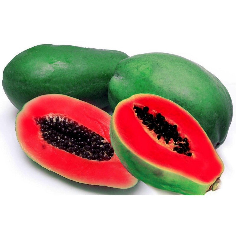 15 Thai Very Sweet Papaya Seeds,Red Bright Flesh Delicious Tropical fresh fruit
