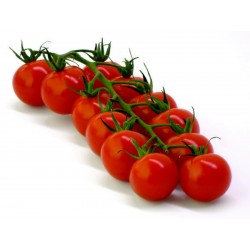 Seme ceri paradajza Chadwick Cherry  - 2