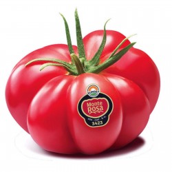 Monte Rosa Ribbed Pink Tomato Seeds Seeds Gallery - 8