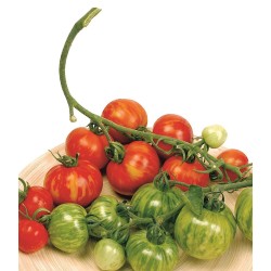Sementes de tomate Tigerella  - 2