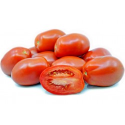 Graines de tomate Roma  - 1