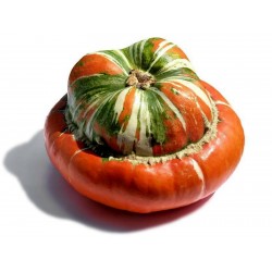 Red Turban Squash Seeds Seeds Gallery - 5
