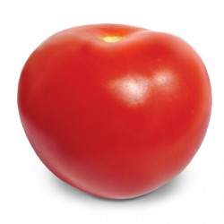 Semillas de tomate híbridas de alta calidad Lider F1  - 1