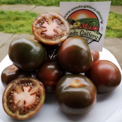 Graines Tomate Kumato - Tomate Noire Seeds Gallery - 3
