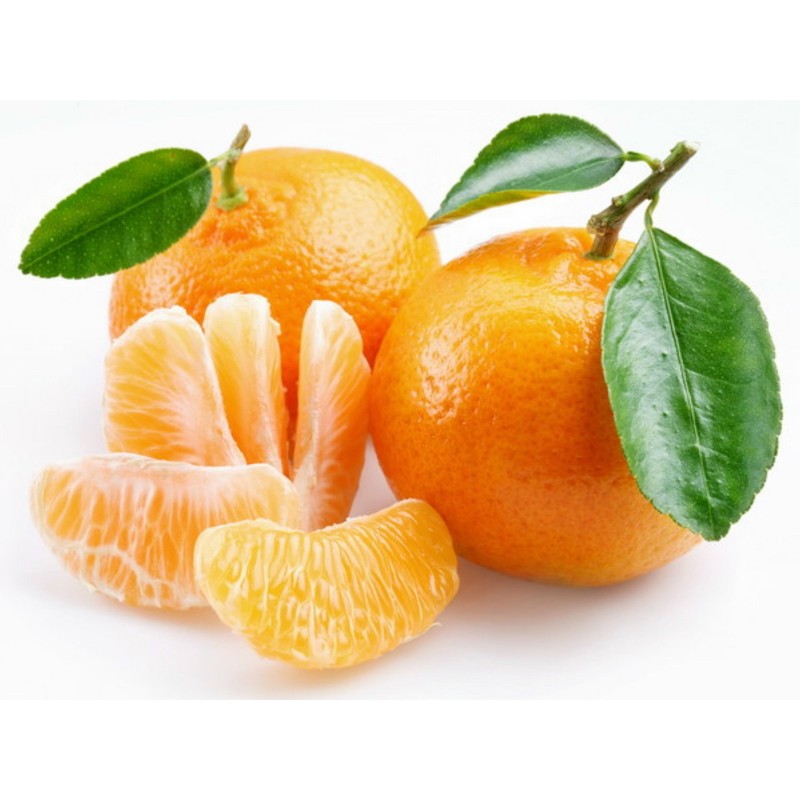 Småcitrus Mandarin Frön (Citrus reticulata)  - 5