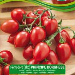 Sementes de tomate PRINCIPE BORGHESE  - 1