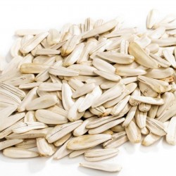 1000 семена Гигантские белые подсолнечника  - 4