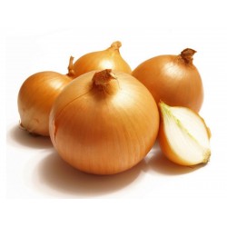 Dutch Yellow Onion Seeds  - 1