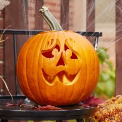 XXL Halloween, Jack’O Lantern Pumpkin Seeds  - 1