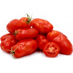 Sementes de Tomate San Marzano 2