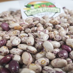 Serbian colorful bean seeds