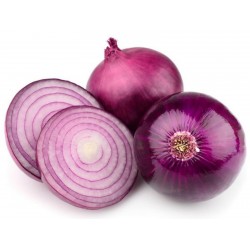 Purple Onion Seeds Tetenyi Rubin