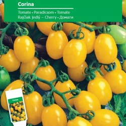 Σπόροι ντομάτας Corina