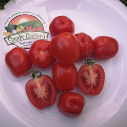 Semillas de tomate y manzana